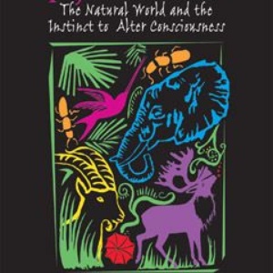 Animals and psychedelics