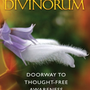 Salvia Divinorum: Doorway to Thought-Free Awareness