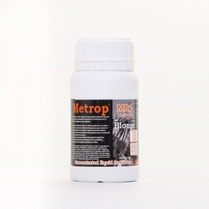 Metrop MR 2 Bloei